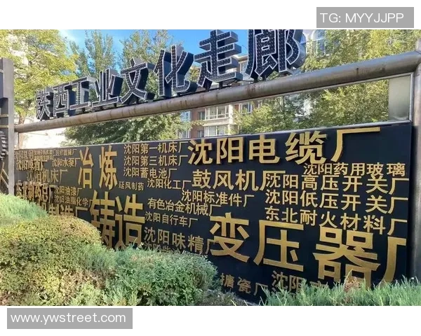 武汉篮球队的蜕变之旅总决赛特别报道见证辉煌与挑战的交织