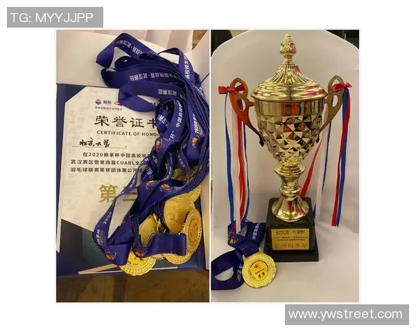 武汉羽毛球队运营模式解析及其在羽毛球领域的影响与发展策略探讨