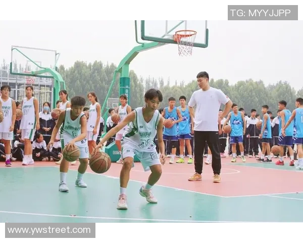 专业解读：成都篮球队的反击打法